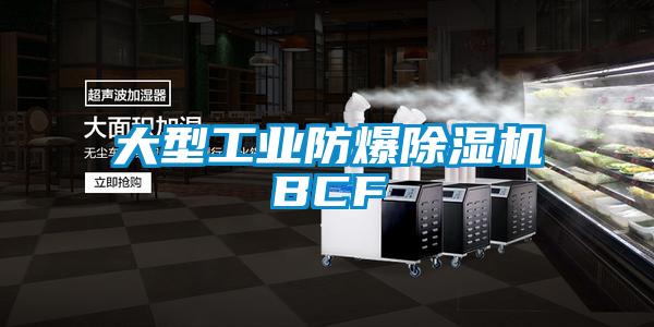 大型工業防爆91看片网站视频機BCF