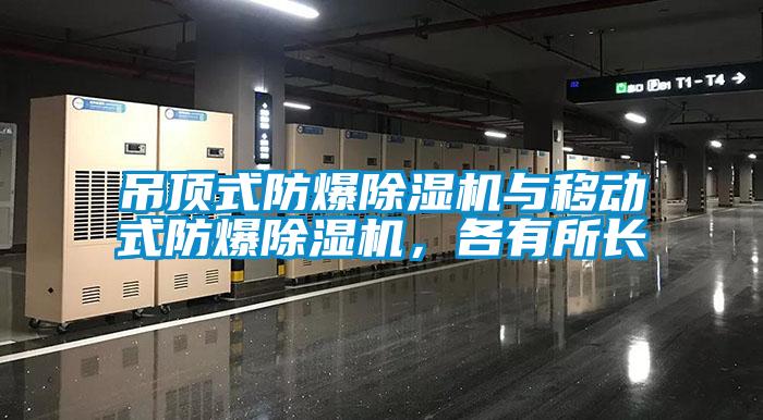 吊頂式防爆91看片网站视频機與移動式防爆91看片网站视频機，各有所長