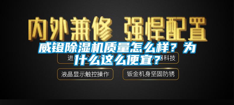 威鐙91看片网站视频機質量怎麽樣？為什麽這麽便宜？