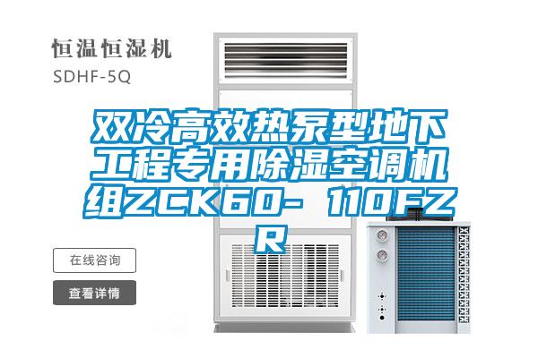 雙冷高效熱泵型地下工程專用91看片网站视频空調機組ZCK60- 110FZR