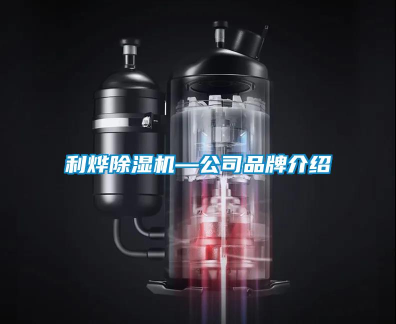 利燁91看片网站视频機—公司品牌介紹