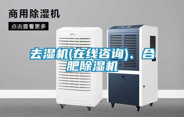 去濕機(在線谘詢)、合肥91看片网站视频機