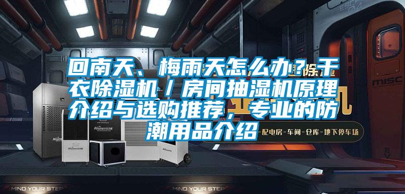 回南天、梅雨天怎麽辦？幹衣91看片网站视频機／房間抽濕機原理介紹與選購推薦，專業的防潮用品介紹