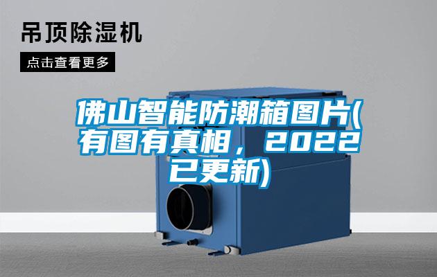 佛山智能防潮箱圖片(有圖有真相，2022已更新)