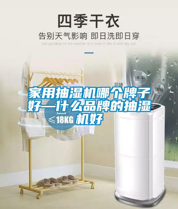 家用抽濕機哪個牌子好—什麽品牌的抽濕機好