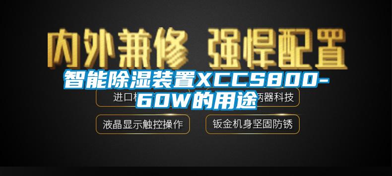 智能91看片网站视频裝置XCCS800-60W的用途