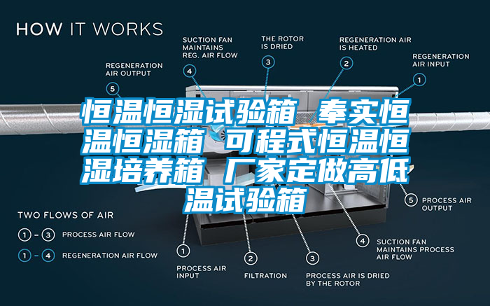 恒溫恒濕試驗箱 奉實恒溫恒濕箱 可程式恒溫恒濕培養箱 廠家定做高低溫試驗箱