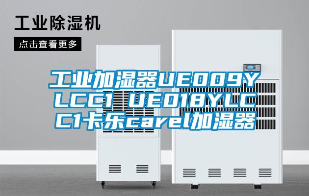 工業加濕器UE009YLCC1 UE018YLCC1卡樂carel加濕器