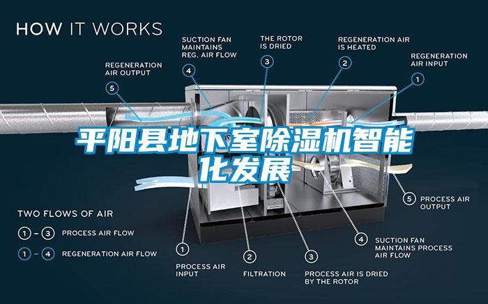 平陽縣地下室91看片网站视频機智能化發展