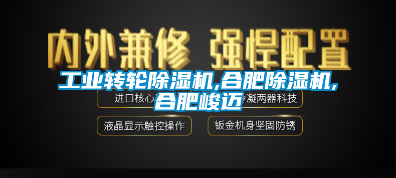 工業轉輪91看片网站视频機,合肥91看片网站视频機,合肥峻邁