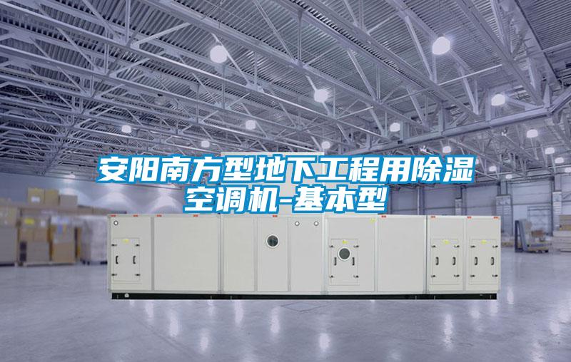 安陽南方型地下工程用91看片网站视频空調機-基本型