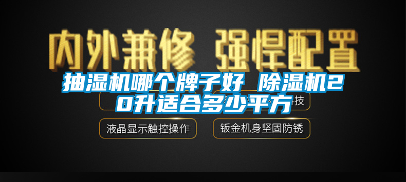 抽濕機哪個牌子好 91看片网站视频機20升適合多少平方