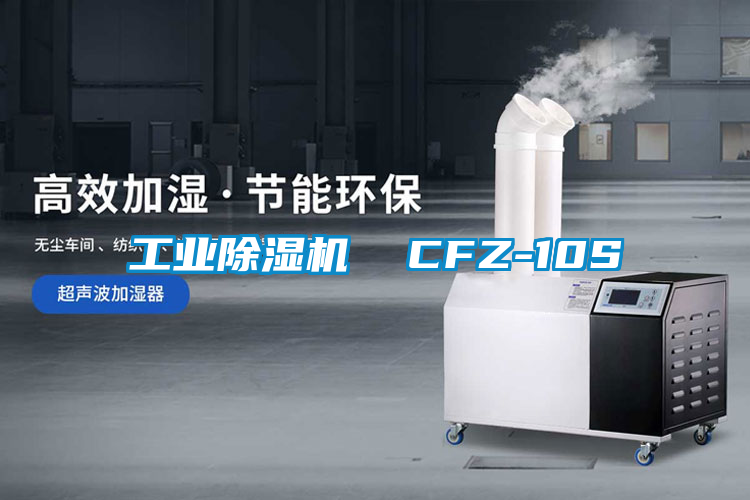 工業91看片网站视频機  CFZ-10S