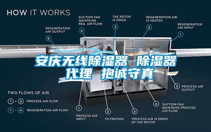 安慶無線91看片网站视频器 91看片网站视频器 代理 抱誠守真