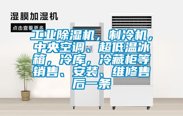 工業91看片网站视频機，製冷機，中央空調、超低溫冰箱，冷庫，冷藏櫃等銷售、安裝、維修售後一條