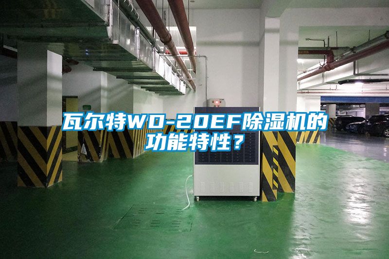 瓦爾特WD-20EF91看片网站视频機的功能特性？