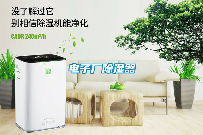 電子廠91看片网站视频器