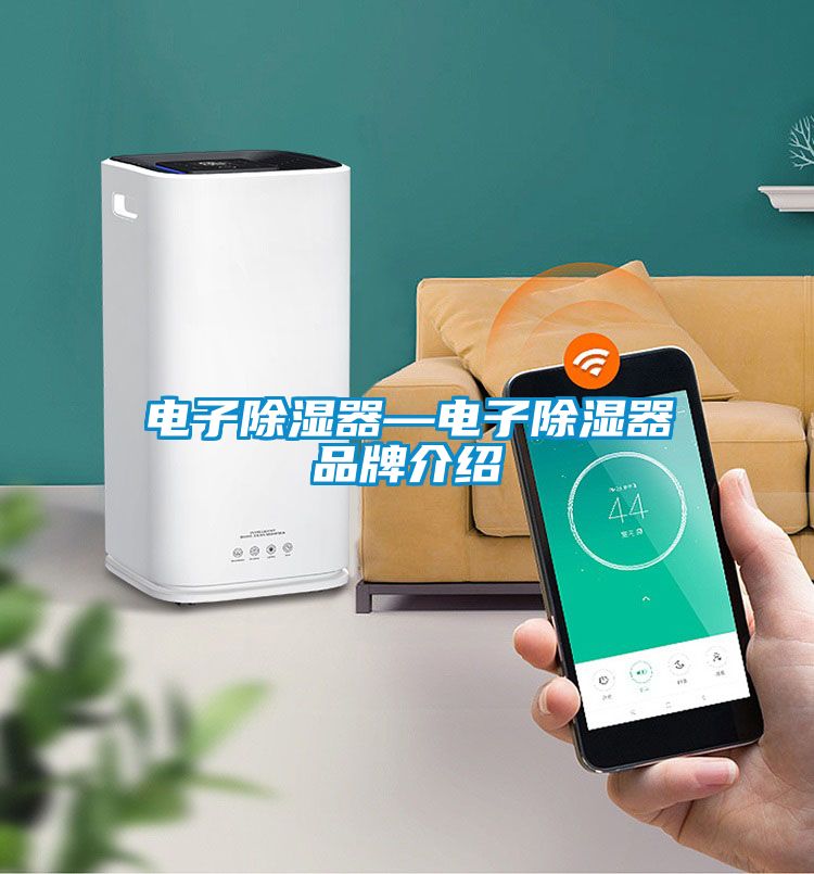 電子91看片网站视频器—電子91看片网站视频器品牌介紹