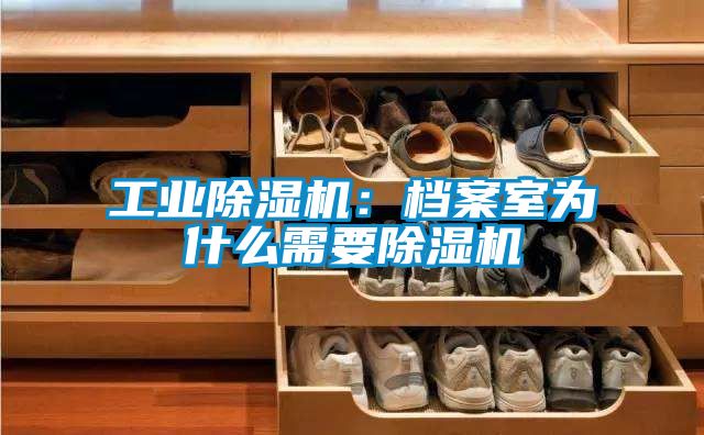 工業91看片网站视频機：檔案室為什麽需要91看片网站视频機