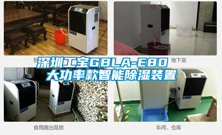 深圳工寶GBLA-E80  大功率款智能91看片网站视频裝置