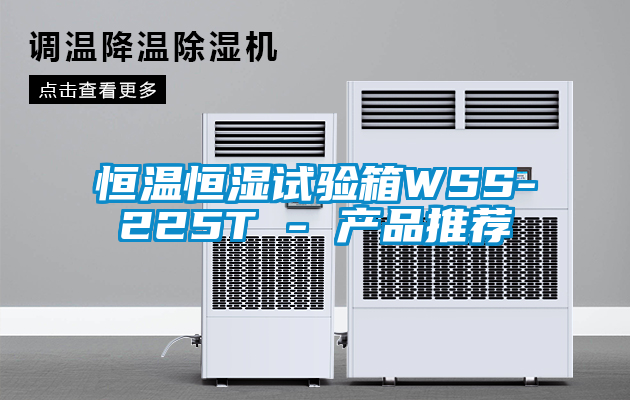 恒溫恒濕試驗箱WSS-225T - 產品推薦