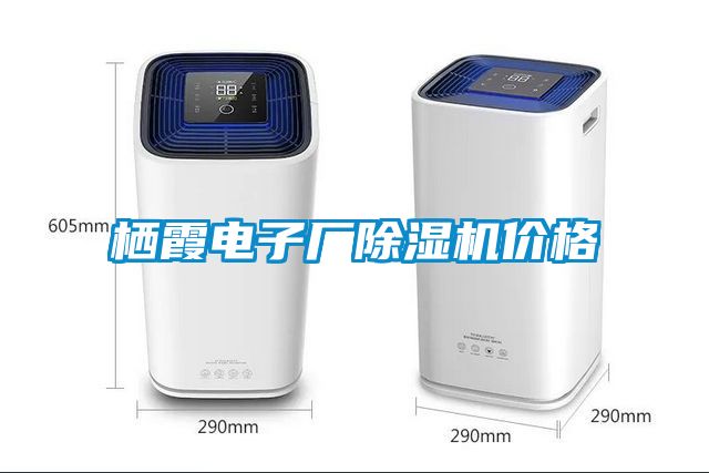 棲霞電子廠91看片网站视频機價格