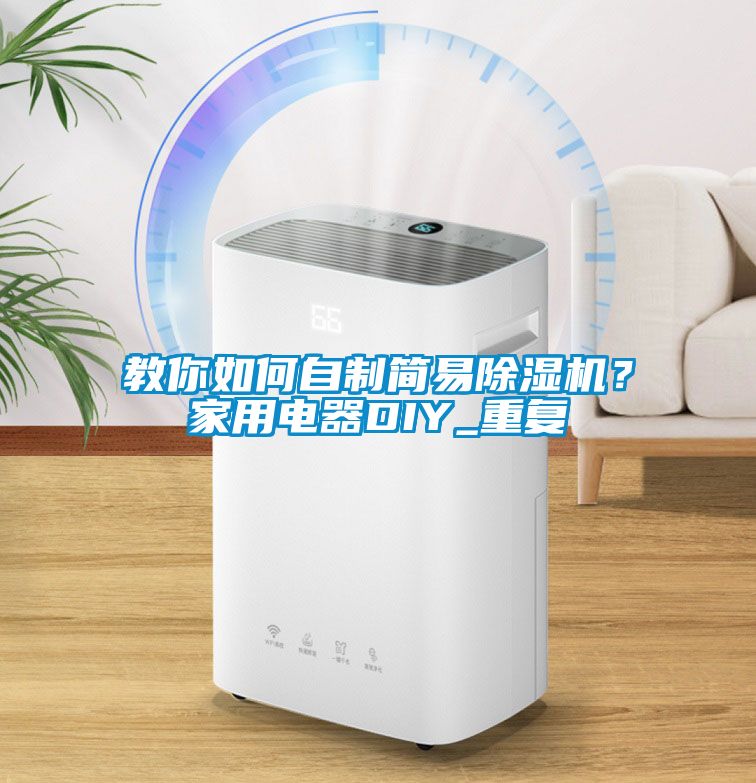 教你如何自製簡易91看片网站视频機？家用電器DIY_重複