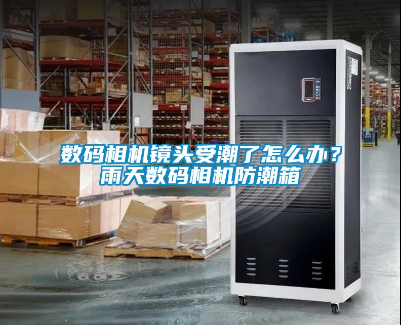 數碼相機鏡頭受潮了怎麽辦？雨天數碼相機防潮箱