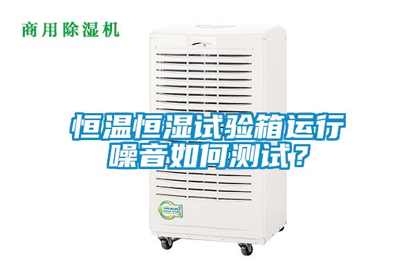 恒溫恒濕試驗箱運行噪音如何測試？