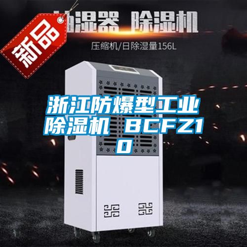 浙江防爆型工業91看片网站视频機 BCFZ10