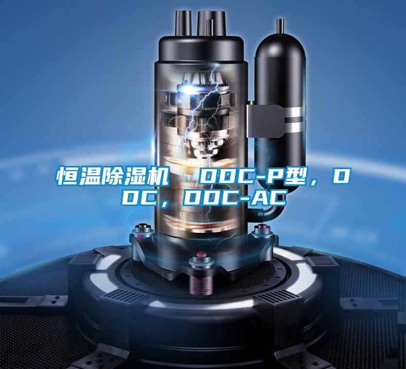 恒溫91看片网站视频機  DDC-P型，DDC，DDC-AC