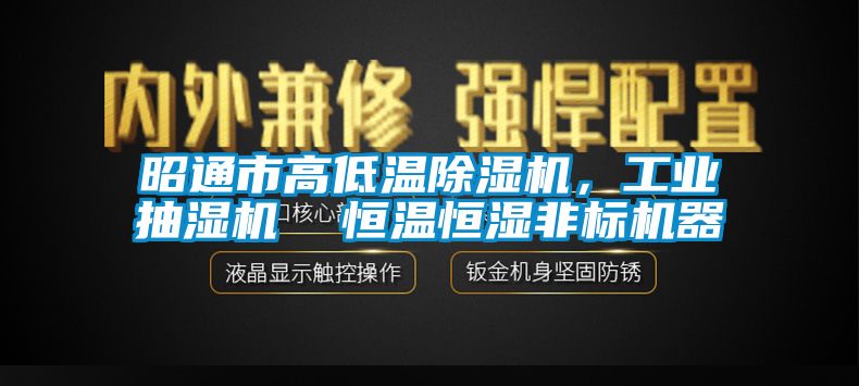 昭通市高低溫91看片网站视频機，工業抽濕機  恒溫恒濕非標機器