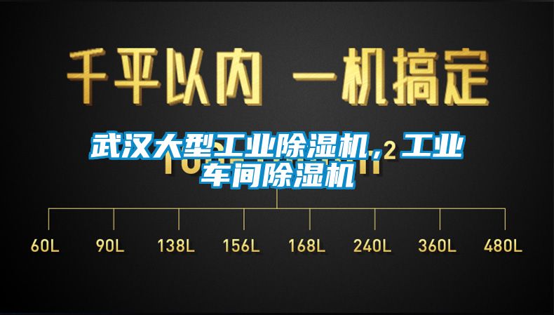 武漢大型工業91看片网站视频機，工業車間91看片网站视频機