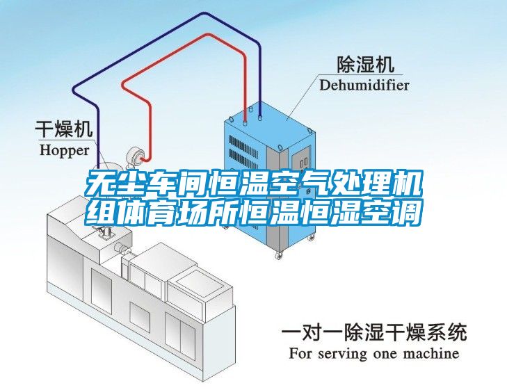 無塵車間恒溫空氣處理機組體育場所恒溫恒濕空調