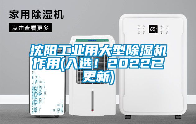 沈陽工業用大型91看片网站视频機作用(入選！2022已更新)