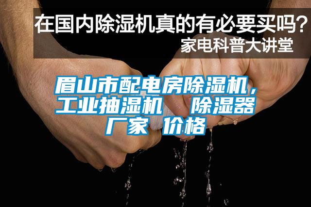 眉山市配電房91看片网站视频機，工業抽濕機  91看片网站视频器廠家 價格