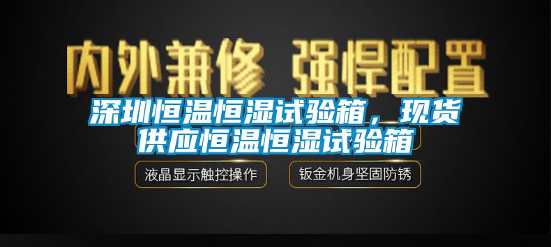 深圳恒溫恒濕試驗箱，現貨供應恒溫恒濕試驗箱