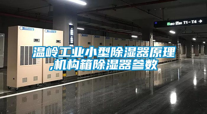 溫嶺工業小型91看片网站视频器原理,機構箱91看片网站视频器參數