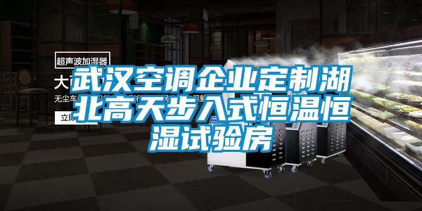 武漢空調企業定製湖北高天步入式恒溫恒濕試驗房