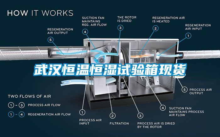 武漢恒溫恒濕試驗箱現貨