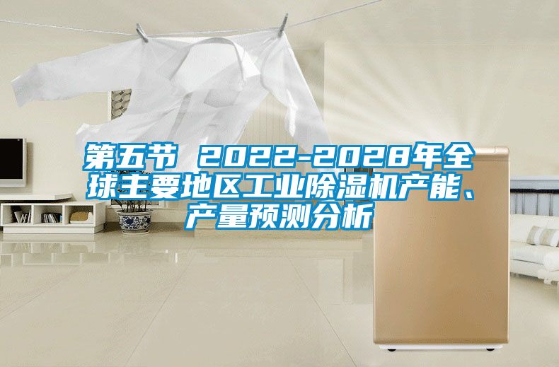 第五節 2022-2028年全球主要地區工業91看片网站视频機產能、產量預測分析