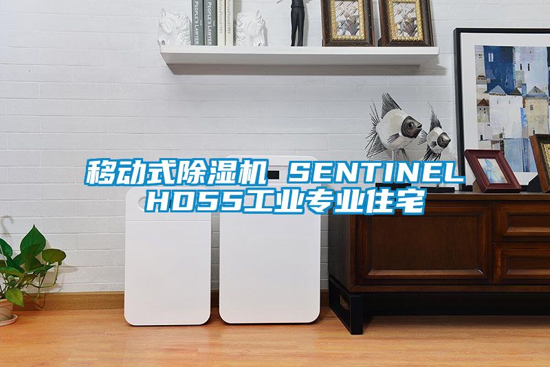 移動式91看片网站视频機 SENTINEL HD55工業專業住宅