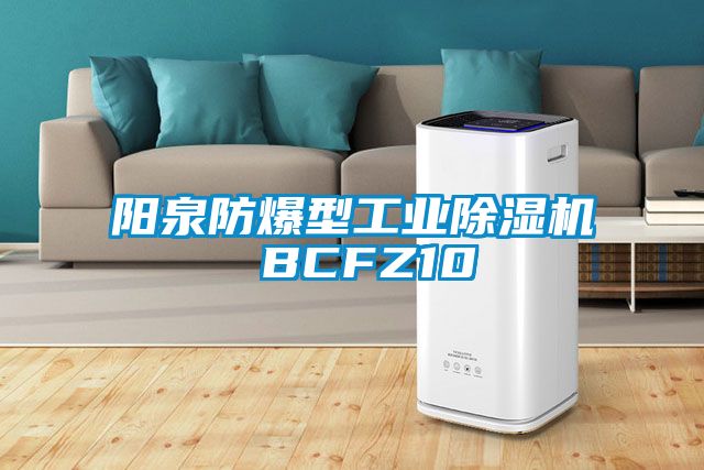 陽泉防爆型工業91看片网站视频機 BCFZ10