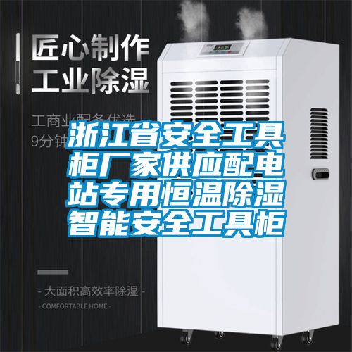 浙江省安全工具櫃廠家供應配電站專用恒溫91看片网站视频智能安全工具櫃