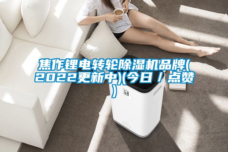 焦作鋰電轉輪91看片网站视频機品牌(2022更新中)(今日／點讚)