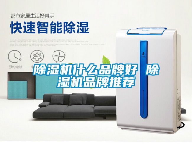 91看片网站视频機什麽品牌好 91看片网站视频機品牌推薦