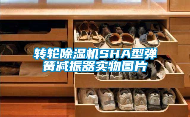 轉輪91看片网站视频機SHA型彈簧減振器實物圖片