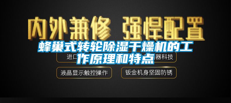 蜂巢式轉輪91看片网站视频幹燥機的工作原理和特點