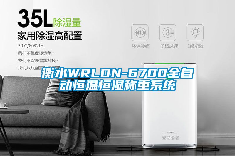 衡水WRLDN-6700全自動恒溫恒濕稱重係統