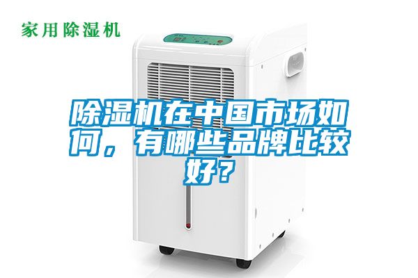 91看片网站视频機在中國市場如何，有哪些品牌比較好？